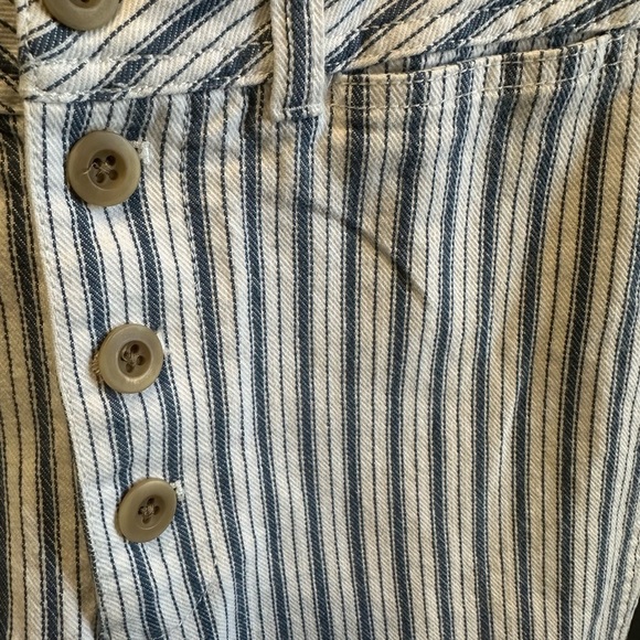 Madewell | Striped Wide-Leg Crop Pants | Size 26 | Blue & White - Picture 5 of 10